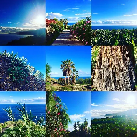 La Favorita * 라오로타바