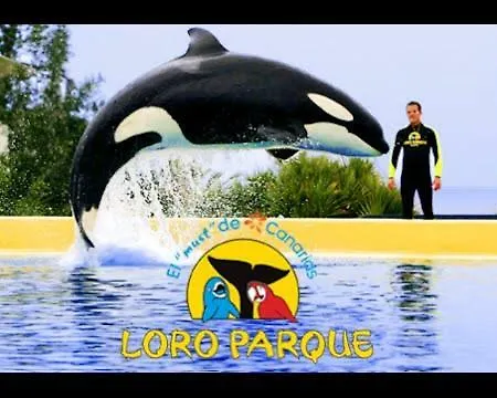 La Favorita 라오로타바