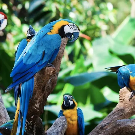 La Favorita 라오로타바