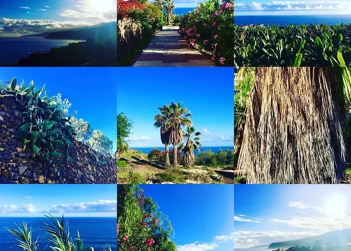 La Favorita * ラ・オロタバ