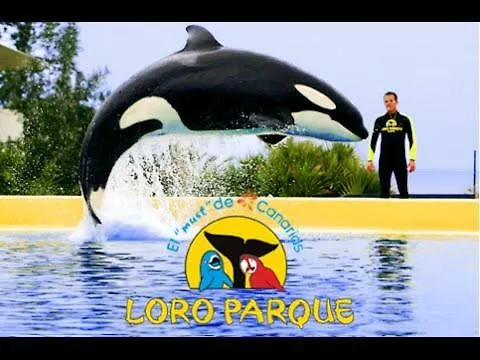 La Favorita ラ・オロタバ