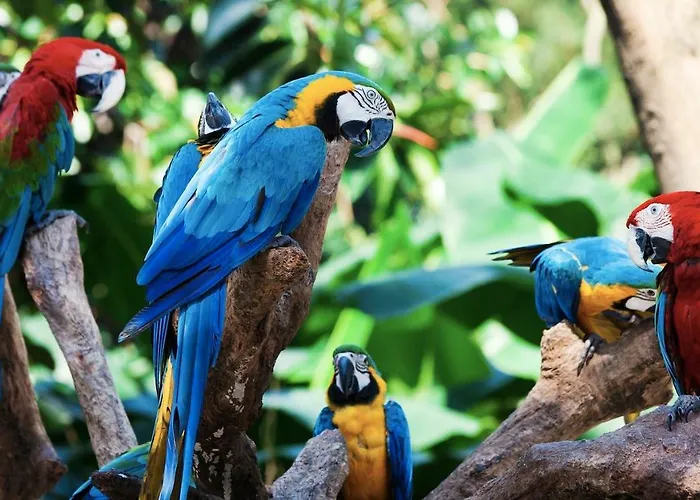 La Favorita ラ・オロタバ